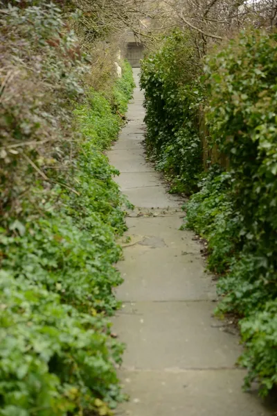 DSC_1295 (Large).JPG